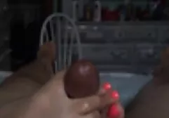 Cảnh nhat ky vang anh sec tượng hoang dã trong tự nhiên, đồi trụy khắp khu rừng