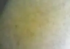 Nóng đức phim secvang anh đàn bà chị với cô ấy làm vườn